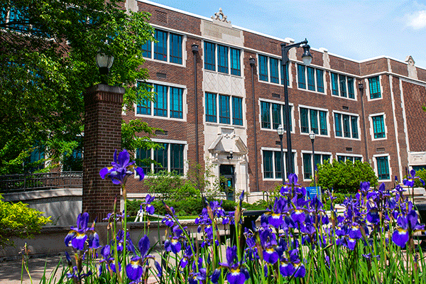 An exterior photograph of a multi-story brick building with steps leading to an entryway and purple flowers in the foreground. Trees and bushes are visible in front of the building. 